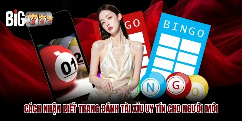Cách Nhận Biết Trang Đánh Tài Xỉu Uy Tín Big777 Cho Người Mới