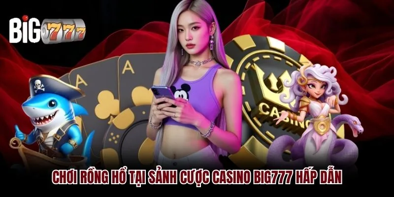 Chơi Rồng Hổ tại sảnh cược Casino Big777 hấp dẫn