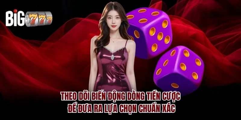 Theo dõi biến động dòng tiền cược để đưa ra lựa chọn chuẩn xác